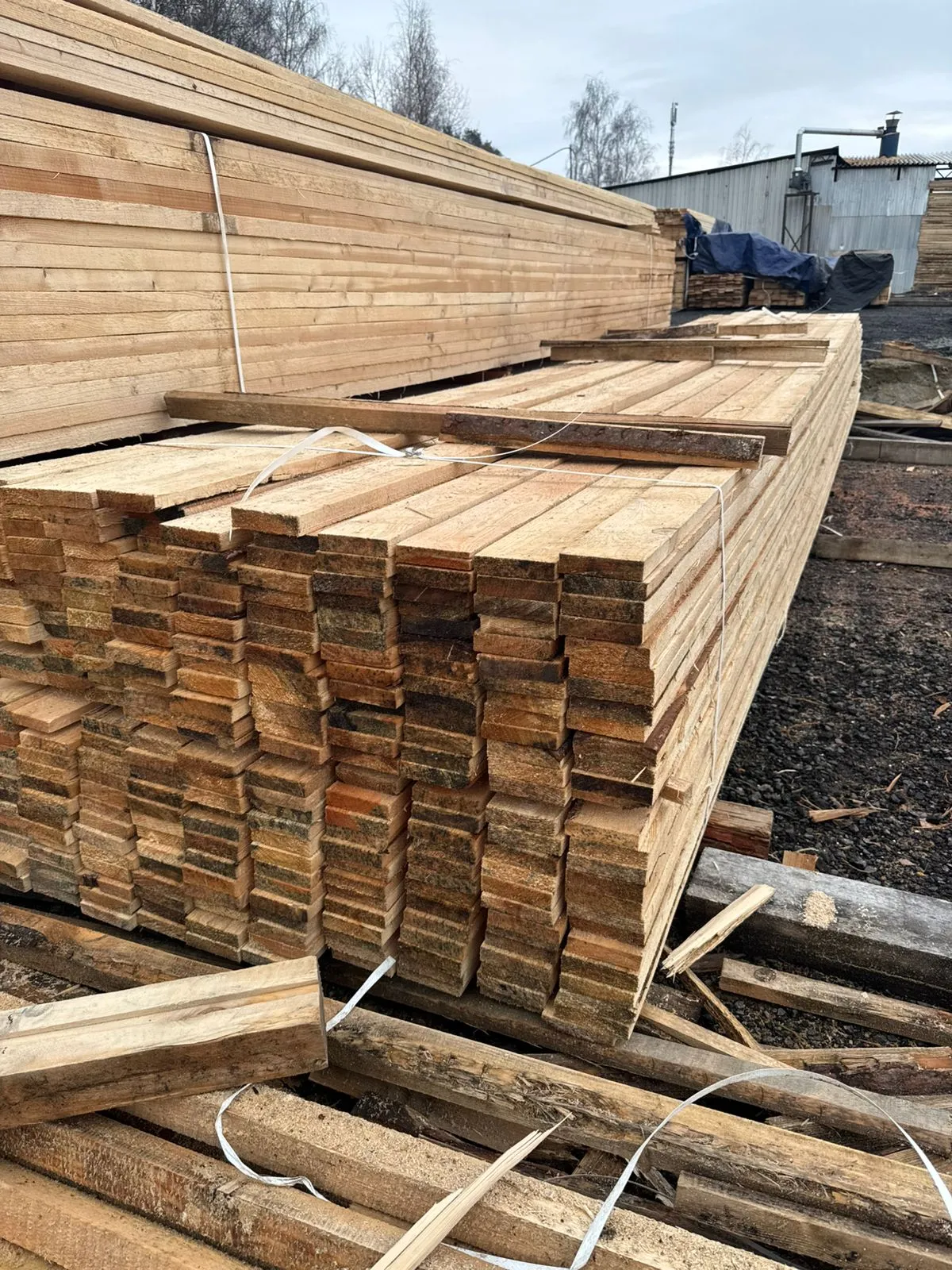 Купить Доска обрезная 25х100х6000 мм ГОСТ, 1 сорт