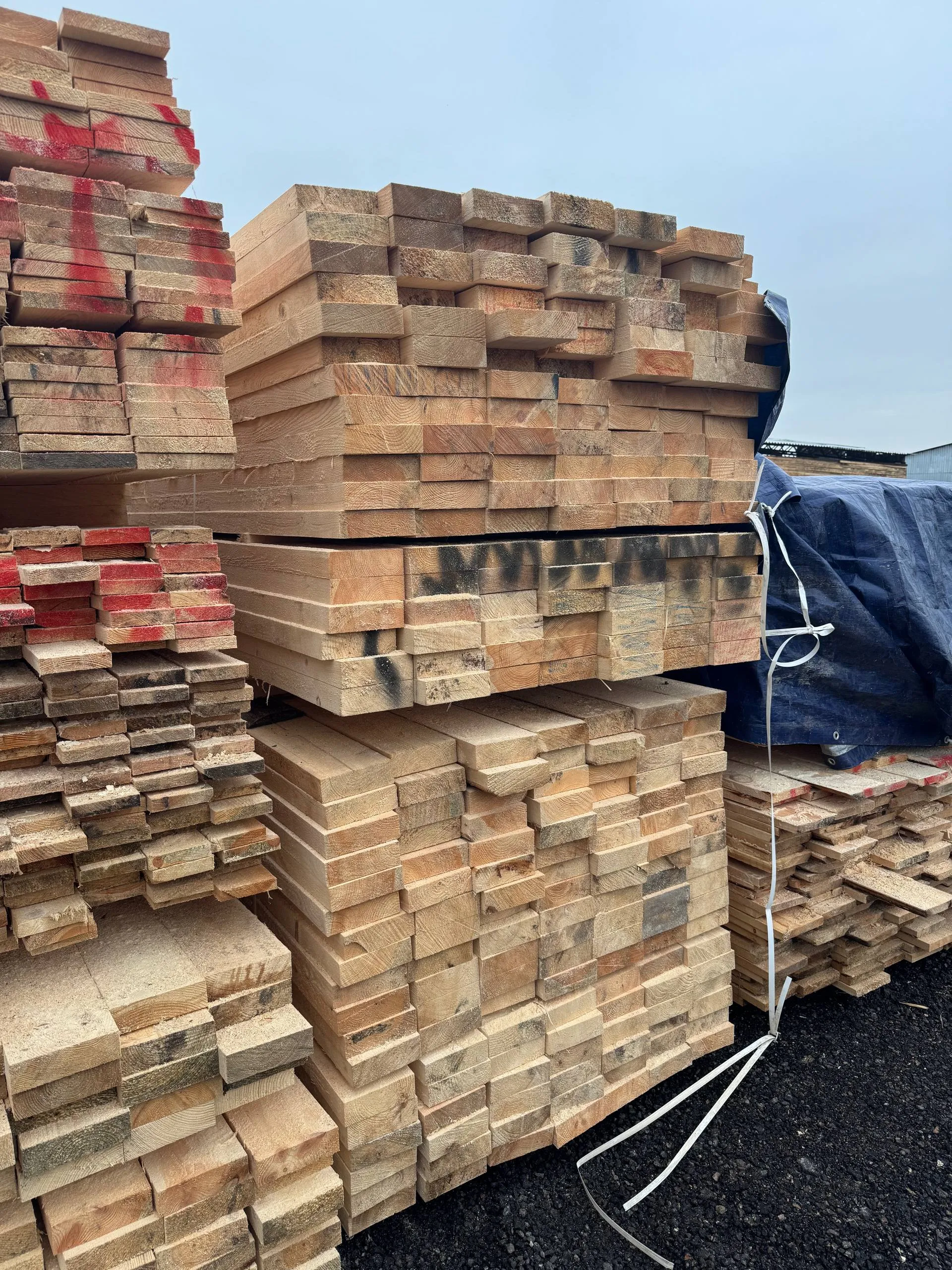 Купить Доска обрезная 45х140х6000 мм ТУ, 1 сорт