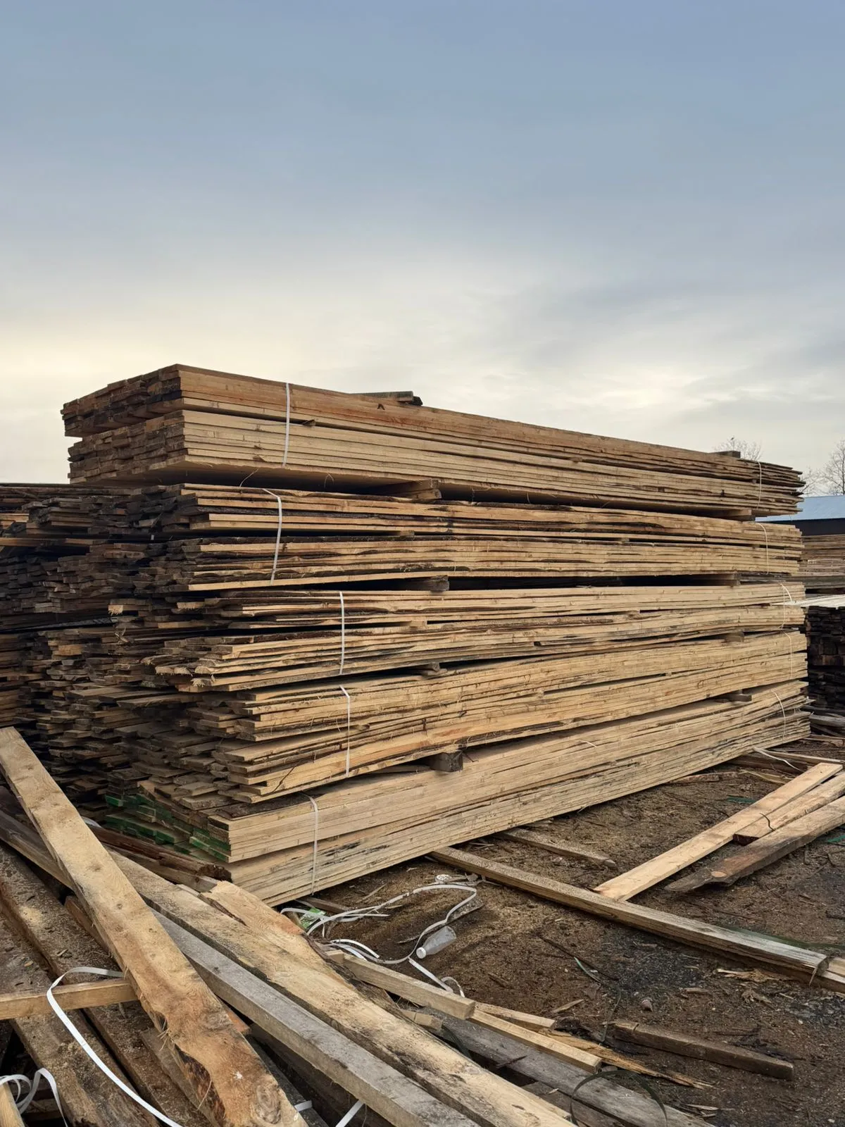 Купить Доска обрезная 25х150х6000 мм 2 сорт