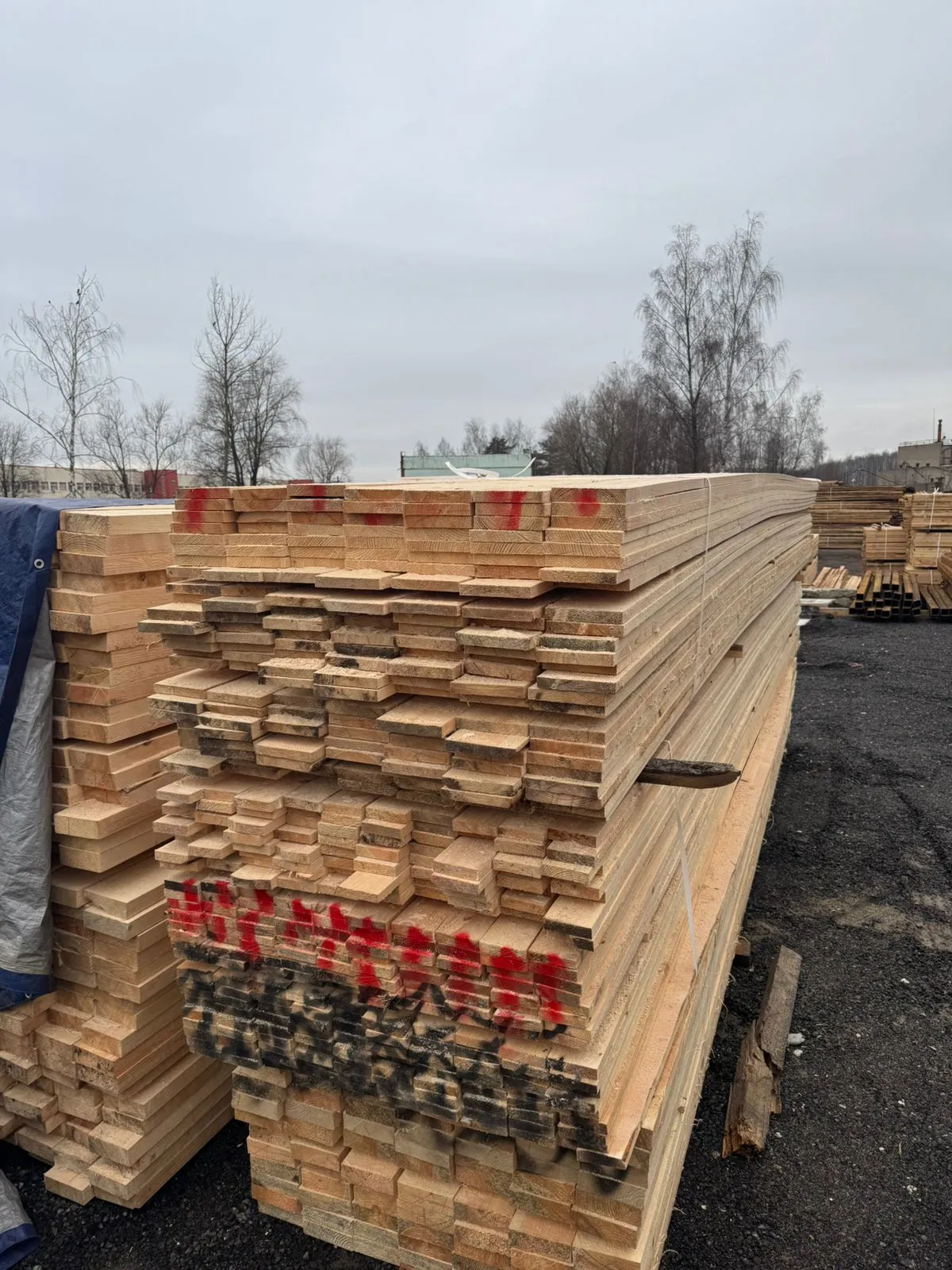 Купить Доска обрезная 25х150х6000 мм ГОСТ, 1 сорт