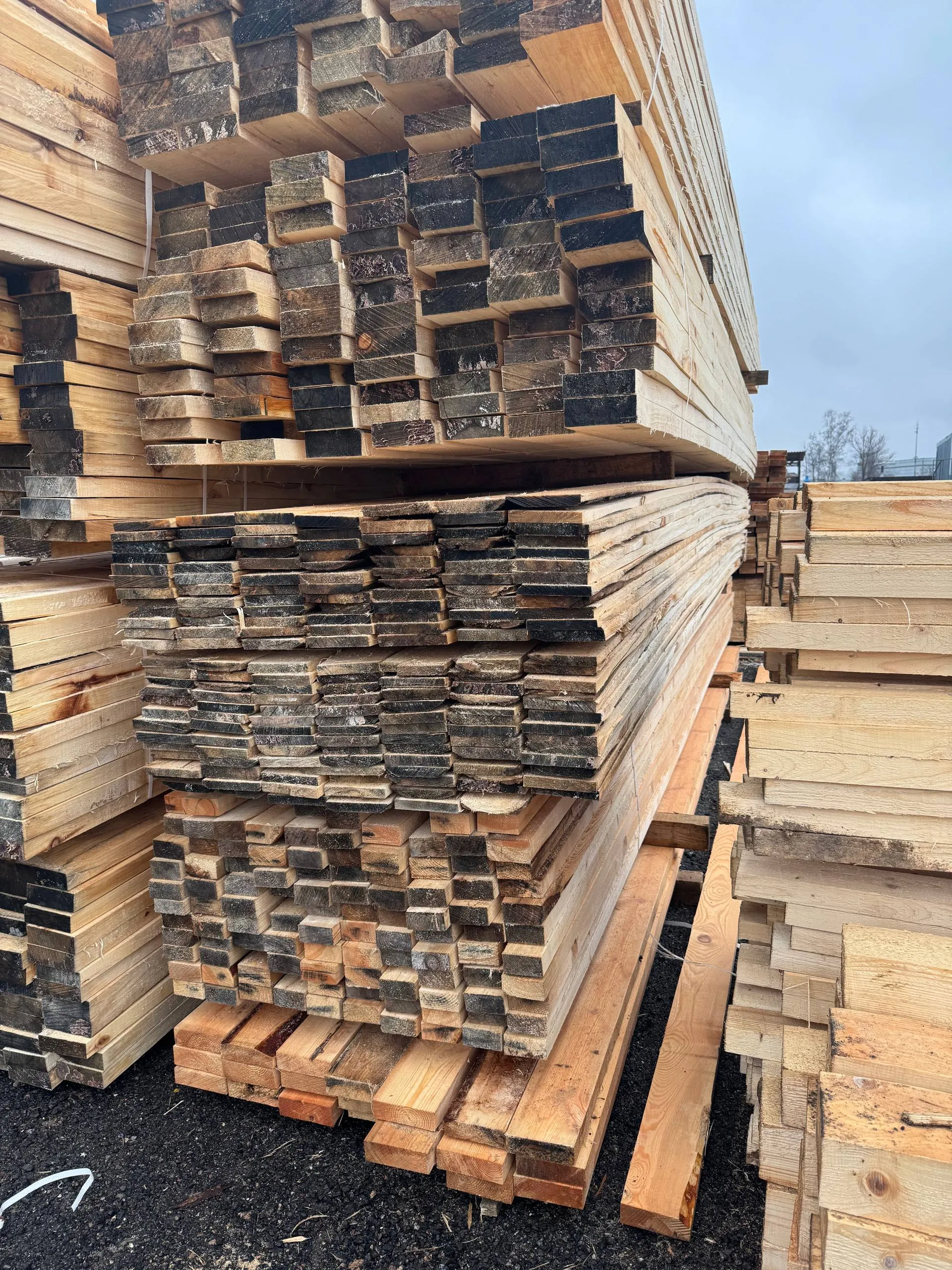 Купить Доска обрезная осина 22х140х6000 мм ТУ