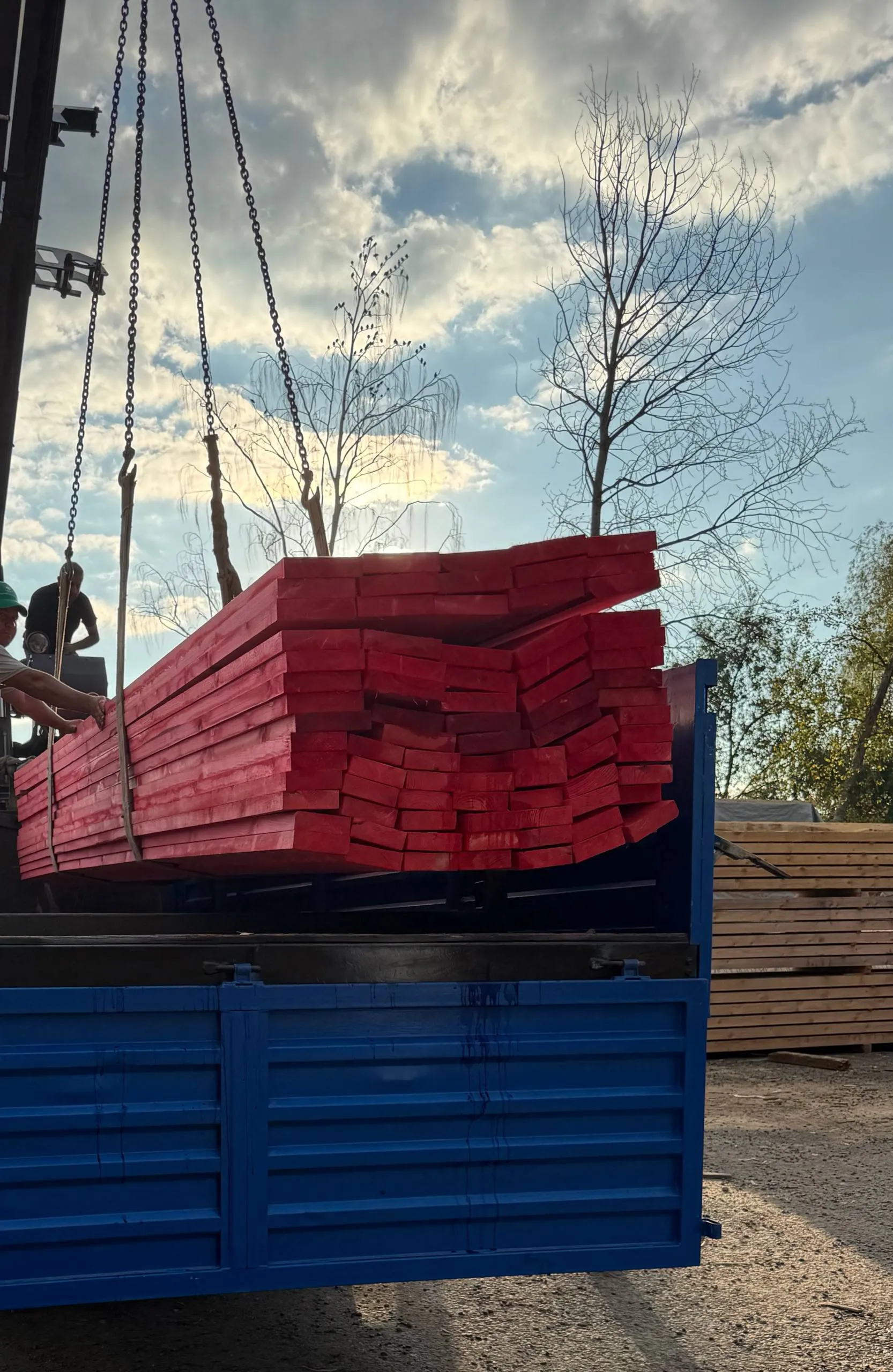 Купить Доска обрезная антисептированная 50х250х6000 мм 1 сорт ГОСТ