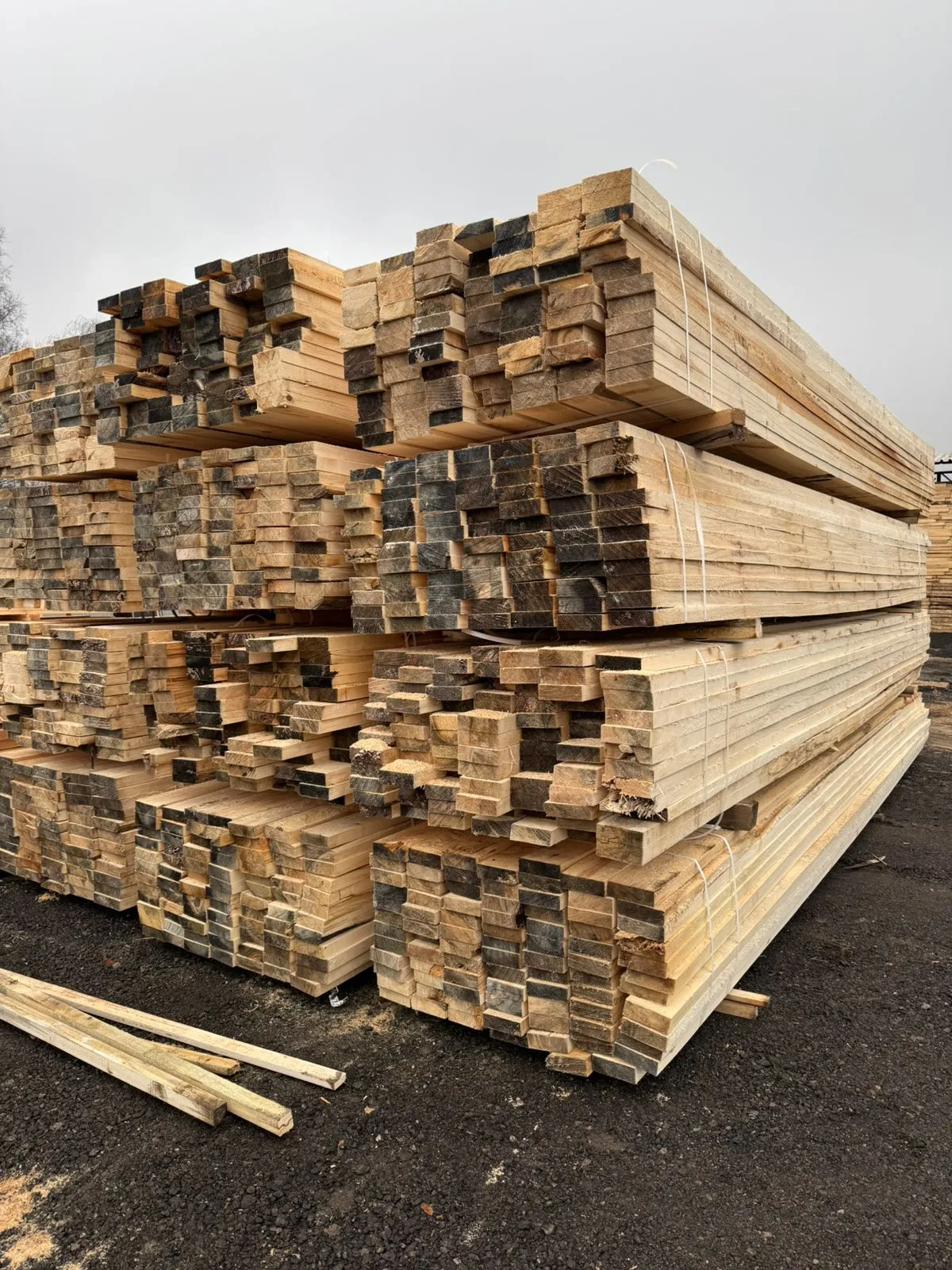 Купить Доска обрезная осина 50х150х6000 мм