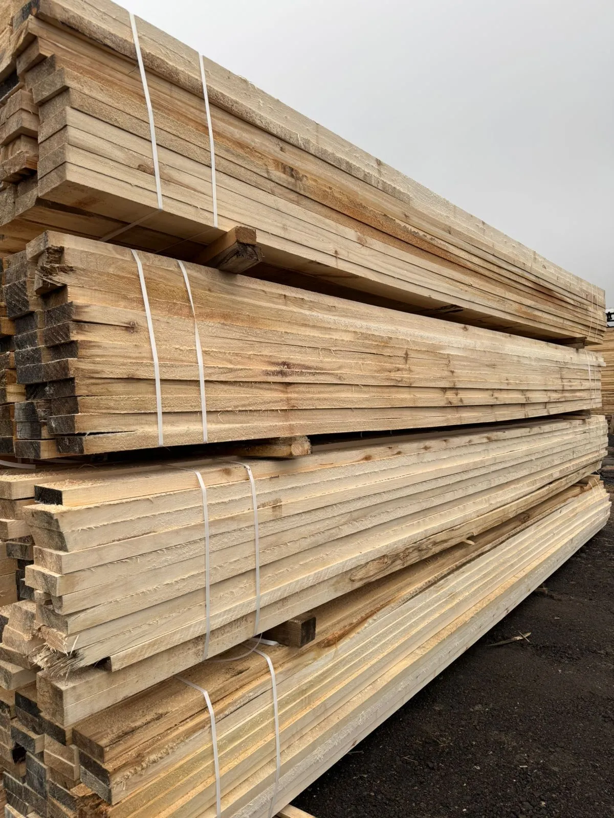 Купить Доска обрезная осина 50х150х6000 мм