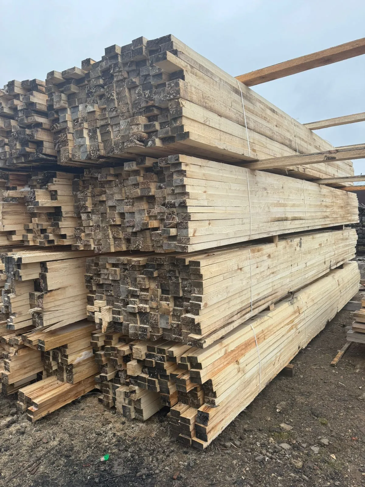 Купить Доска обрезная осина 50х100х6000 мм