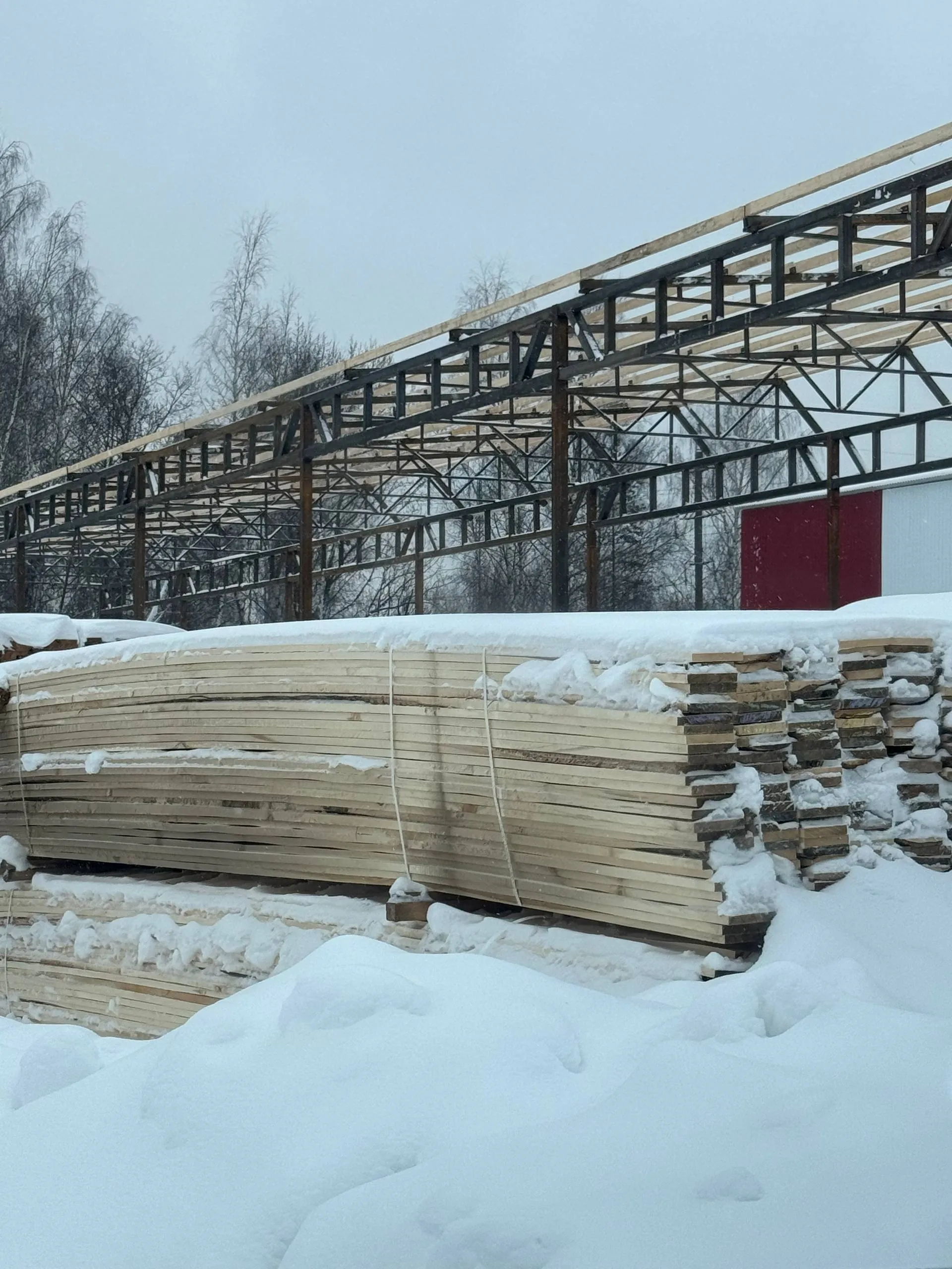 Купить Доска обрезная осина 25х100х6000 мм