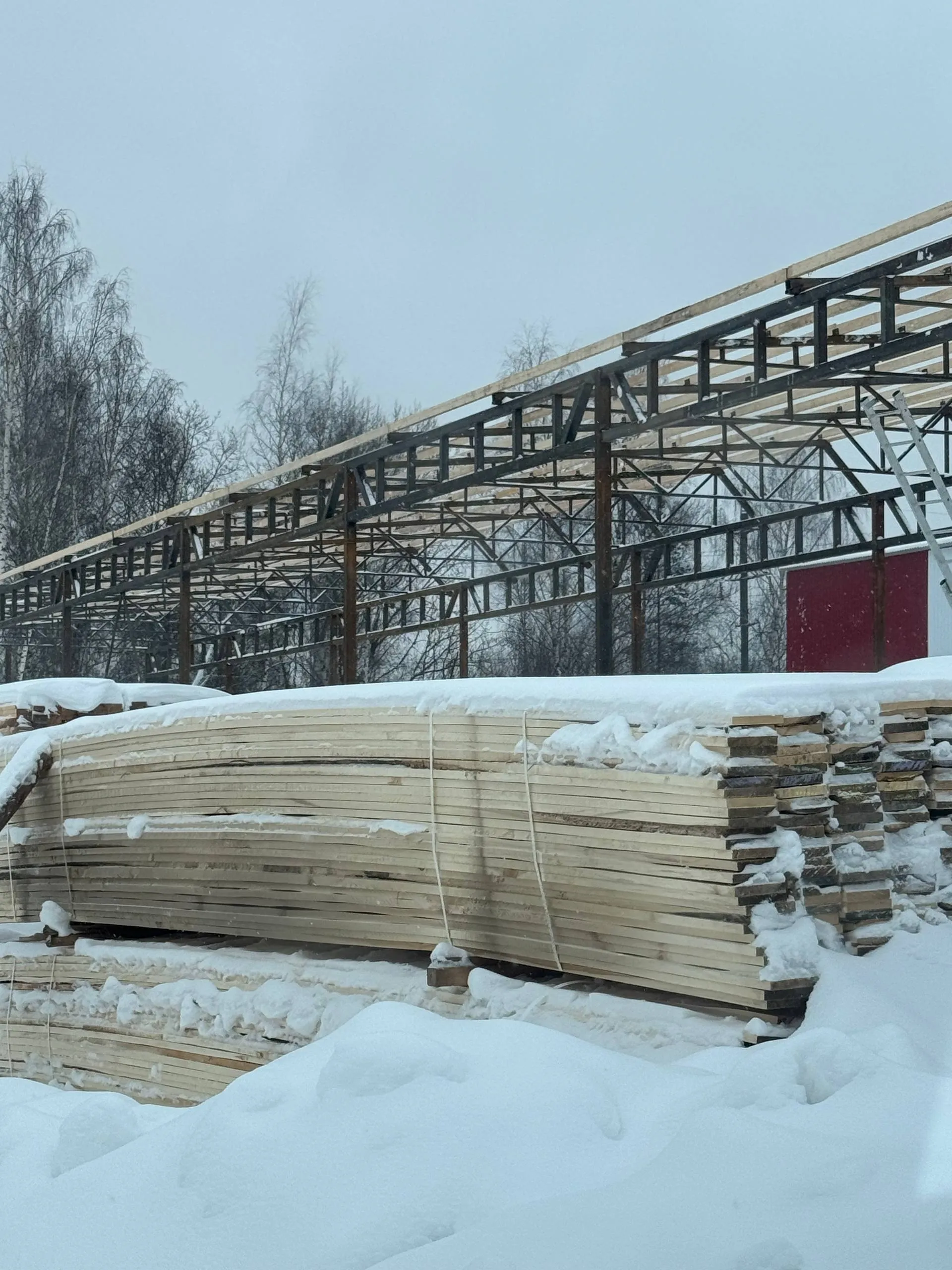 Купить Доска обрезная осина 25х100х6000 мм