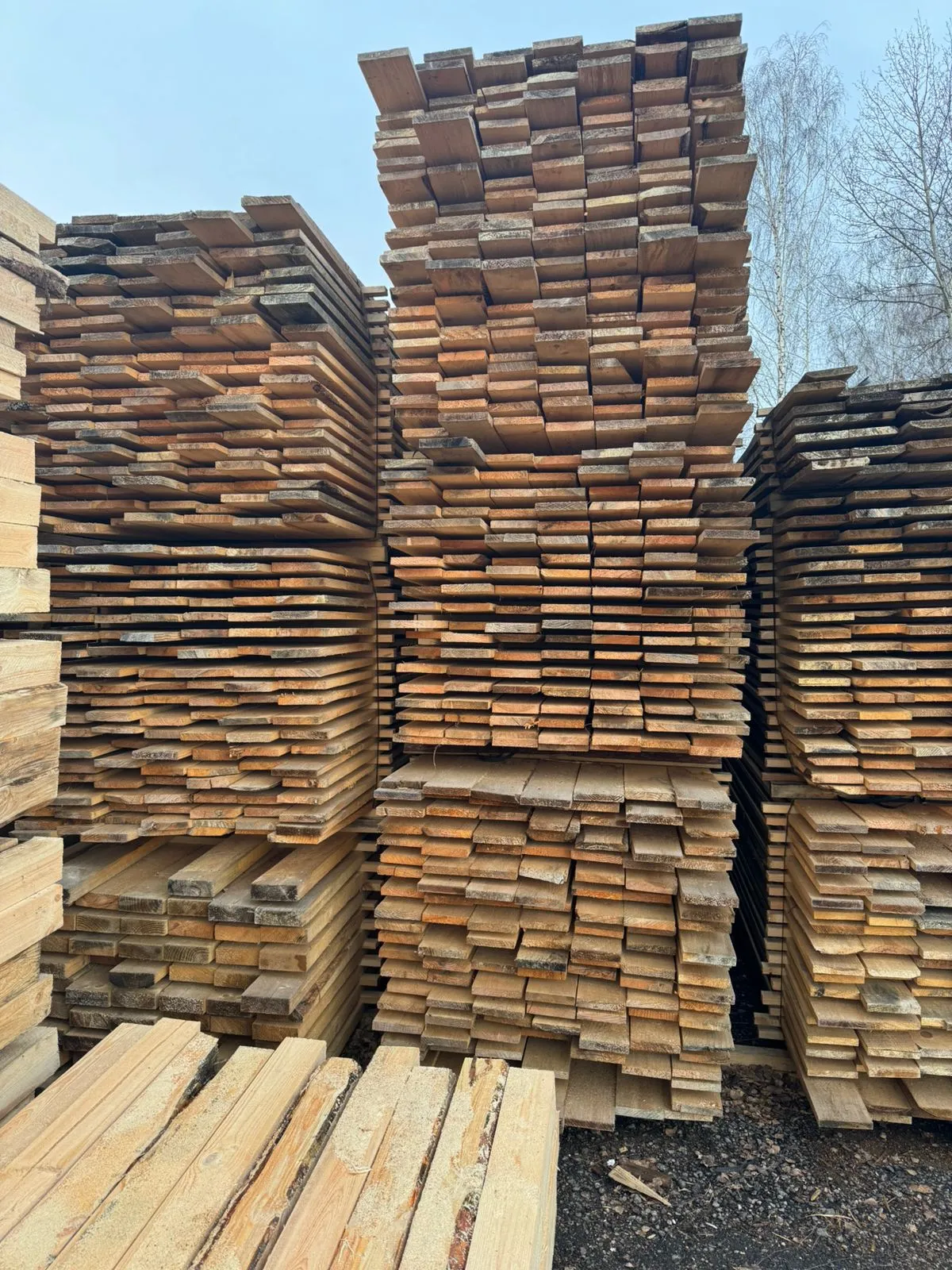 Купить Доска обрезная сухая 25х150х6000 мм 1 сорт ГОСТ