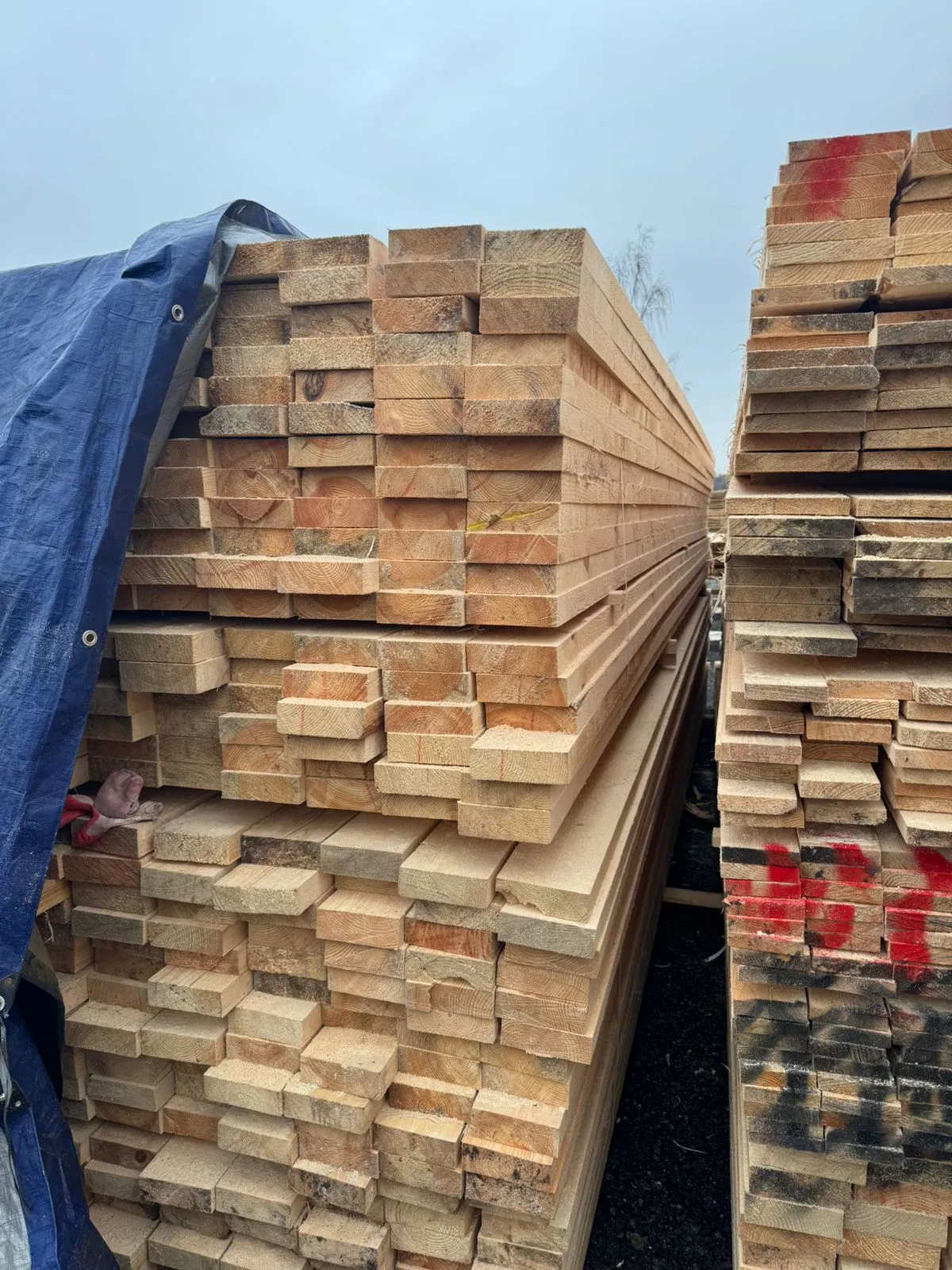 Купить Доска обрезная сухая 50х150х6000 мм 1 сорт ГОСТ