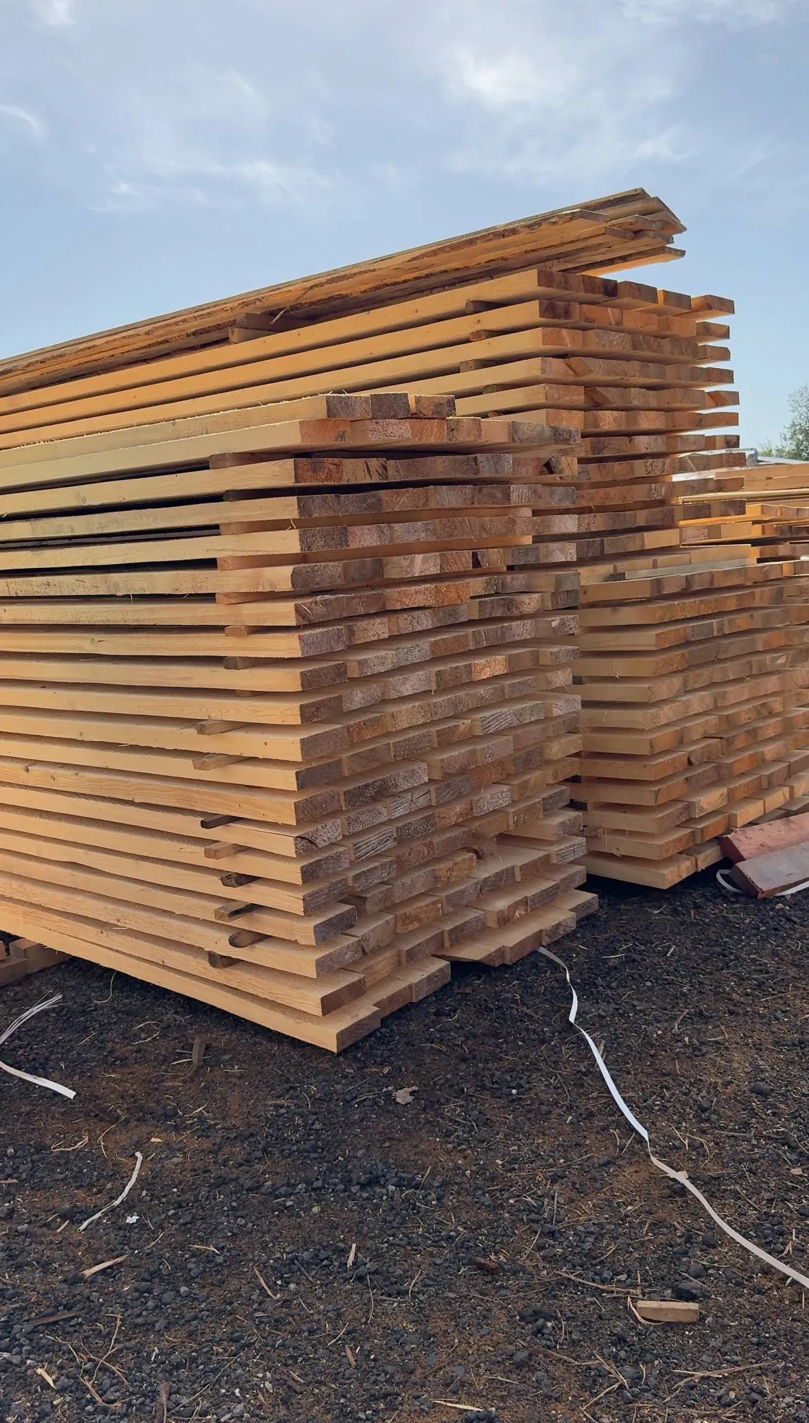 Купить Доска обрезная 40х200х6000 мм 2 сорт