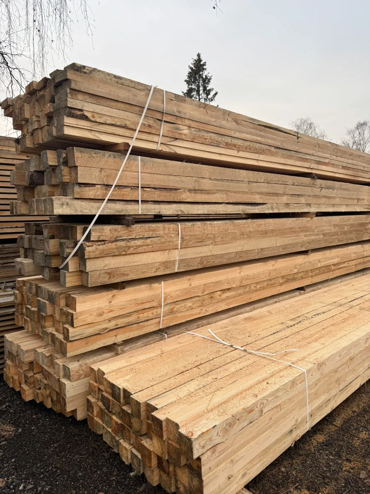 Купить Брус обрезной 100х100х6000 мм 2 сорт