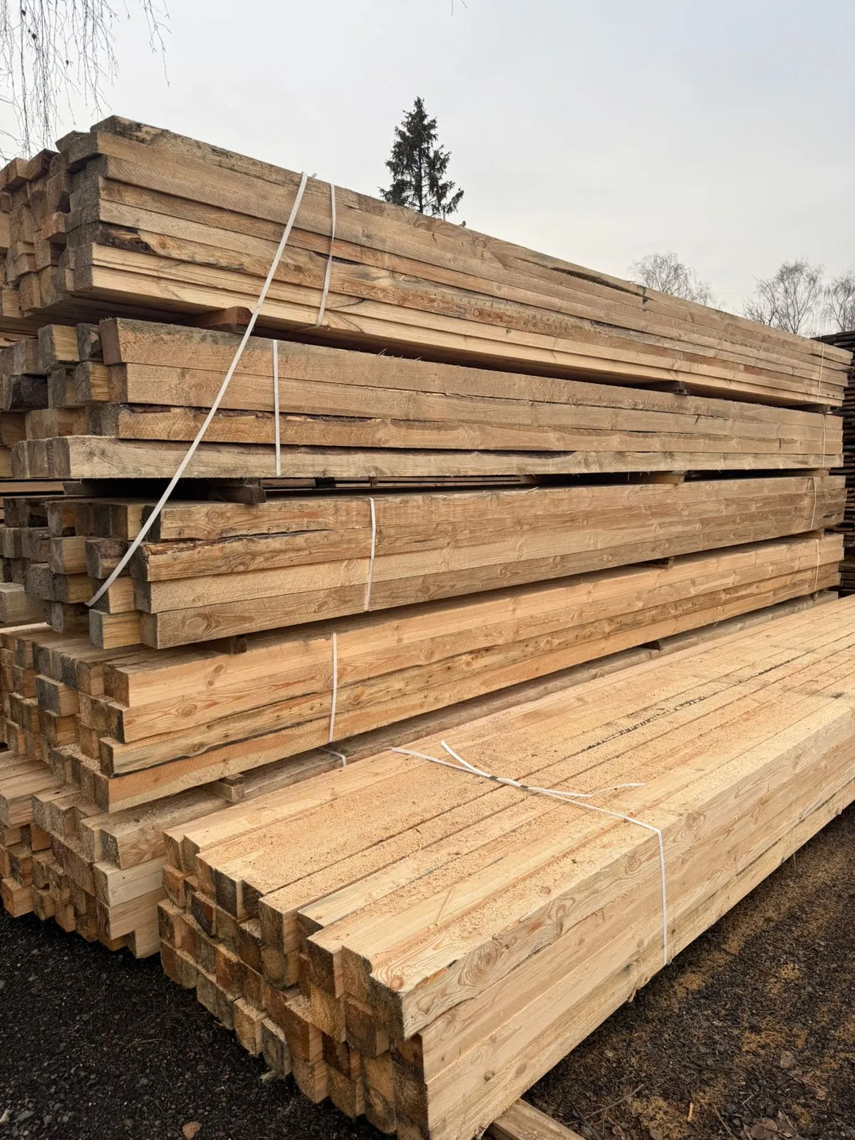 Купить Брус обрезной 100х100х6000 мм 2 сорт